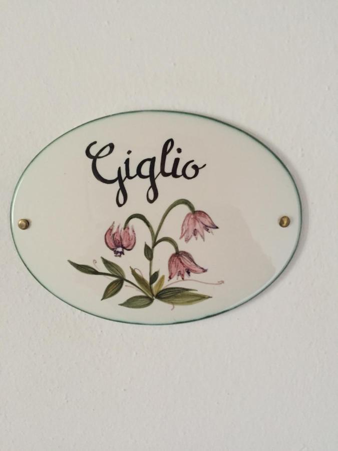 Qui Wolf Udine Hotel Collalto Exterior photo
